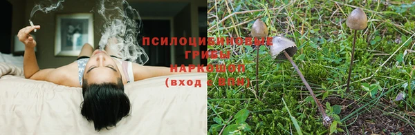 бутик Аркадак