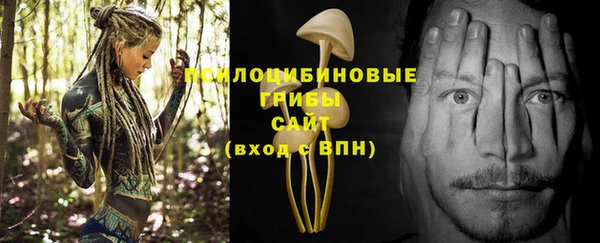 PSILOCYBIN Алзамай