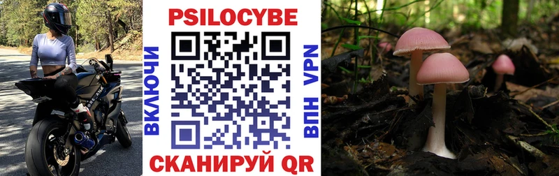 Галлюциногенные грибы прущие грибы  Горячий Ключ 